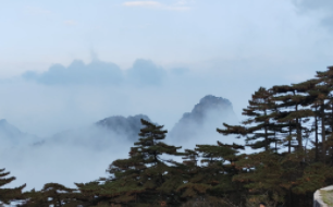 听海螺说悄悄话，海上“思”路寻芳香